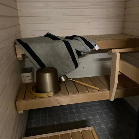 Levi, Tunturisaukko, Ski-inn