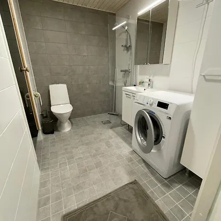 Levi, Tunturisaukko, Ski-inn *